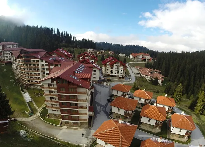 Forest Nook Pamporowo