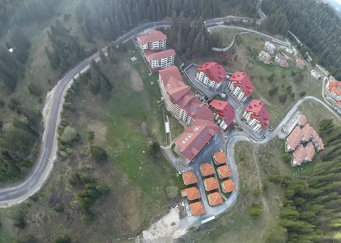 Forest Nook Pamporowo